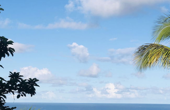 Castara Inn - Photo 27