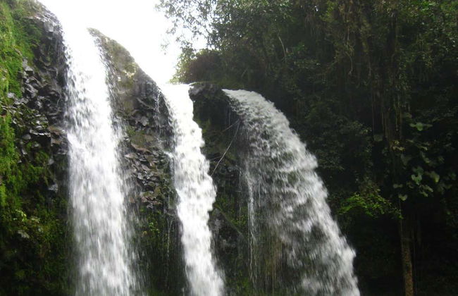 Excursion privée à la cascade de Tres Chorros - Photo 3
