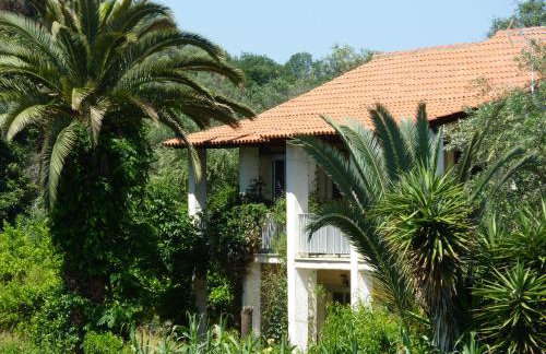 Petros Studios - Foto 25