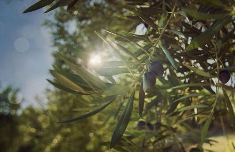 Cortijo el Cercadillo - Foto 56