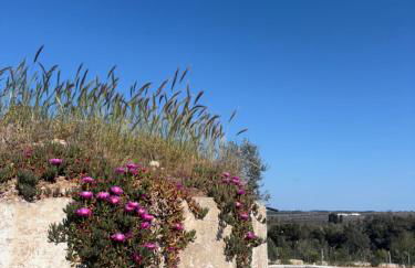 Masseria Causio - Foto 18
