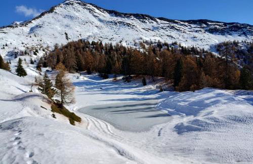Casa per vacanze degli gnomi - Foto 60