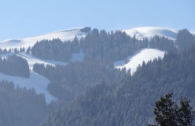 Kitzb hel Austria Best Luxury 4 Bedroom 4 Bathroom Apartment in World-renowned Ski-resort - Foto 50