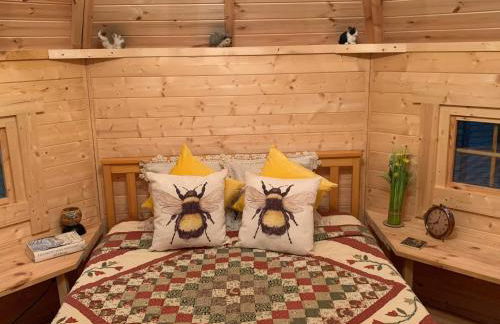 Starry Meadow & Rescued Animal Experiences - Foto 66