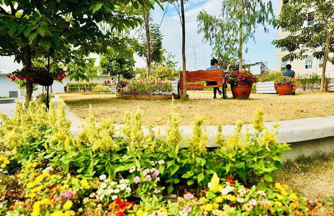 Pandora's Nest - Foto 58