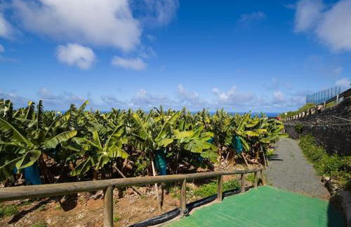 Sunset Banana Plantation House with sea views and private pool by CanaryScape - Foto 51