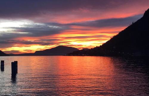 Alice’s House - Foto 43