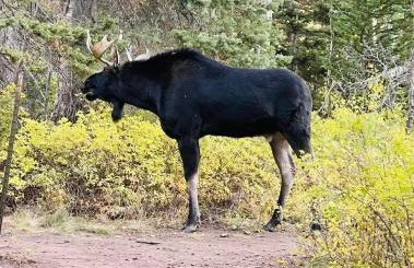 Reduced Nightly Rates! Park City Cabin, Hot Tub, Fire Pit - Sleeps 14 - Photo 122