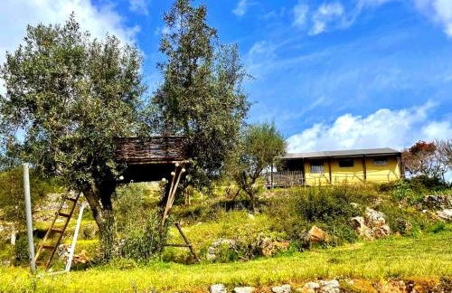 Quinta Vida Verde - Foto 10