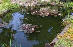 Haus Münsterland - Foto 34