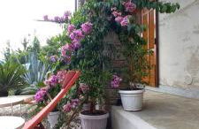 Villa Emma - Foto 38