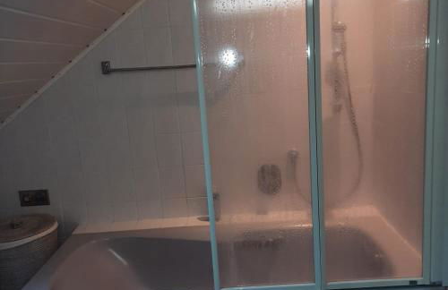 Ferienwohnung mit Rheinblick 2-4 Personen - Foto 5