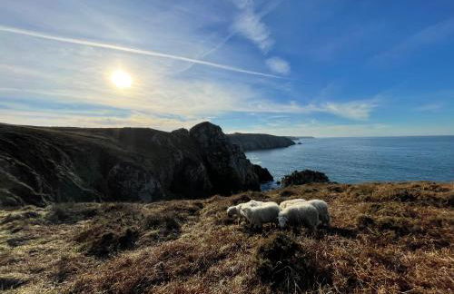 Chez Stella - Foto 38