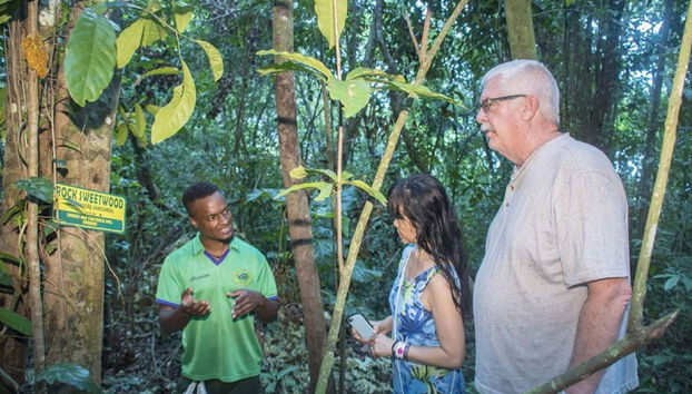 Avistamiento de aves en Castries Waterworks - Foto 3, Conociendo las especies de aves