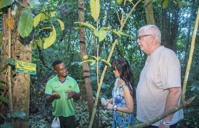 Avistamiento de aves en Castries Waterworks - Foto 3