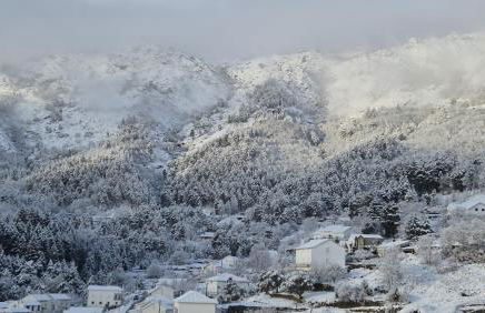 H(a)ver as Faias - Foto 1