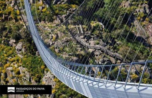 Casa do Cascão - Foto 15