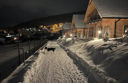 Zdrojówka Domki - Foto 42