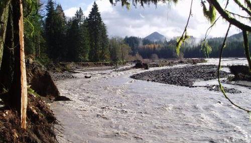 New Tiny Home Steps Away From Mt. Rainier - Foto 4