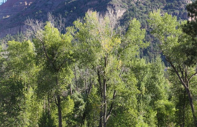 Beautiful Rental Just North of Durango - Foto 27