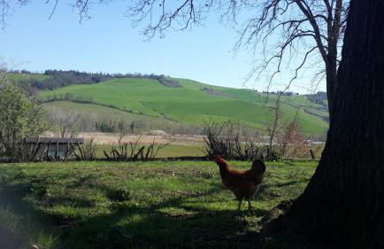 Agriturismo Molino Nuovo - Foto 87