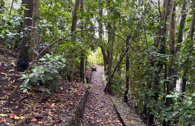 Excursión a Santa Cruz, La Laguna y Parque Rural de Anaga desde el norte de Tenerife - Foto 5