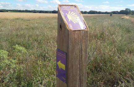 Casa Rural LAS ABUBILLAS - Foto 22