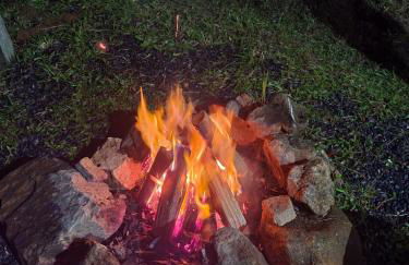 Chácara das Araucárias - Foto 50