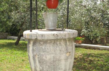 Apartman Sara - Foto 10