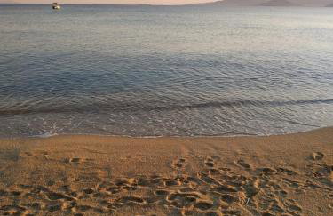 Vitzileos Studios - Foto 42