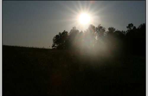 Bungalow direkt am Wasser - Photo 30