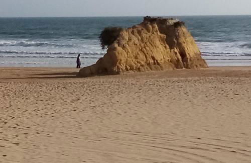 THE PENTHOUSE IN AMARILIS - Foto 44