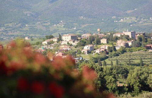 Il Focolare - Foto 15