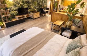 Jungle studio - Foto 1