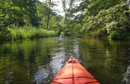 Strzecha Chopina - Dom i półwysep tylko dla Ciebie - Foto 48