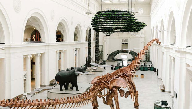 Chicago CityPASS® - Foto 4