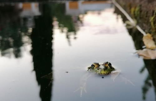 Quinta do Barrieiro - Art Selection by Maria Leal da Costa - Foto 47