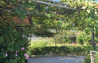 Rivers' house Tzoumerka - Foto 15