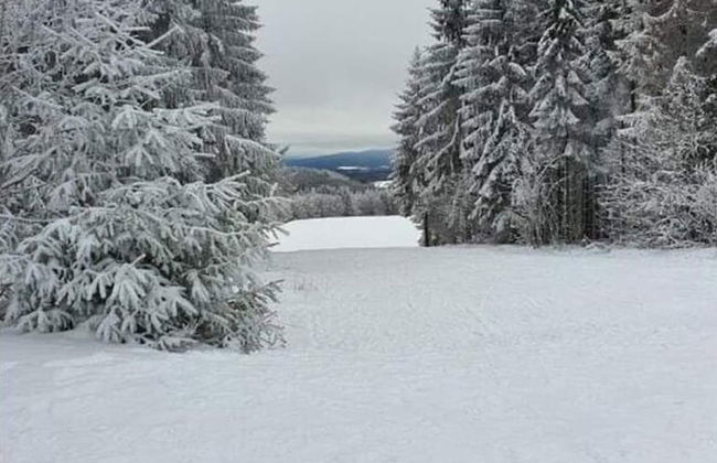 Spacious Stay Near Trails - Foto 34