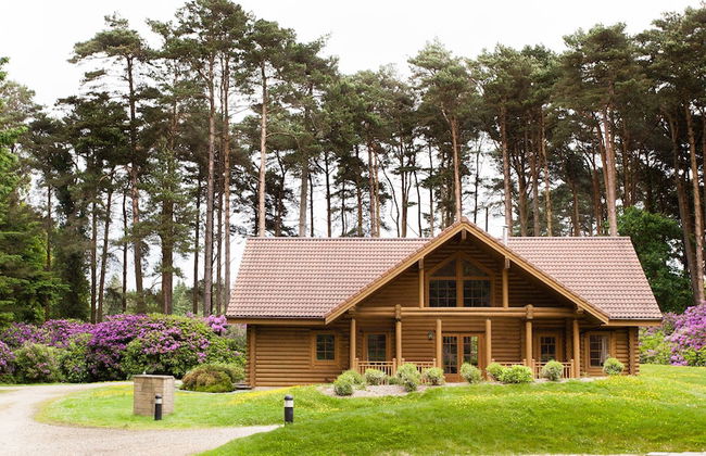 The Dorset Resort - Foto 10