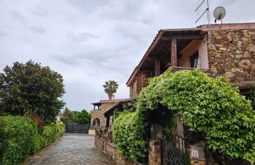 La flabellina blu - Foto 16