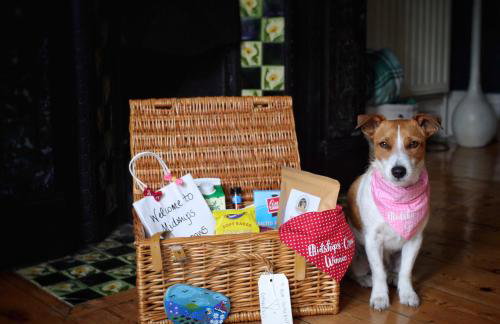 MIDSHIPS A HOLIDAY HOME IN DARTMOUTH SLEEPS UPTO 6 PEOPLE ,PET FRIENDLY , 10 MINUTES WALK TO Town CENTRE WITH PARKING included - Foto 27