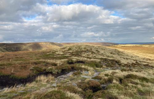 Octagon View - Foto 20