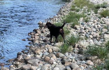 5R Cozy log chalet in fantastic location. Ski, snowshoe, fish, explore! AC, pet friendly! - Photo 53