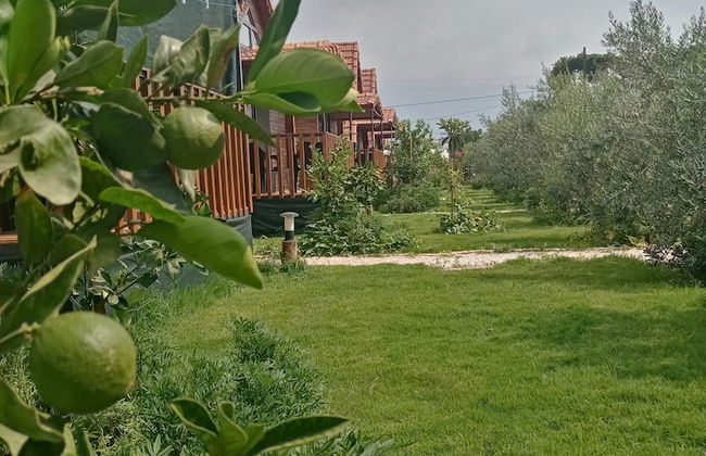 Riviera Bungalow Evleri Demre - Photo 67