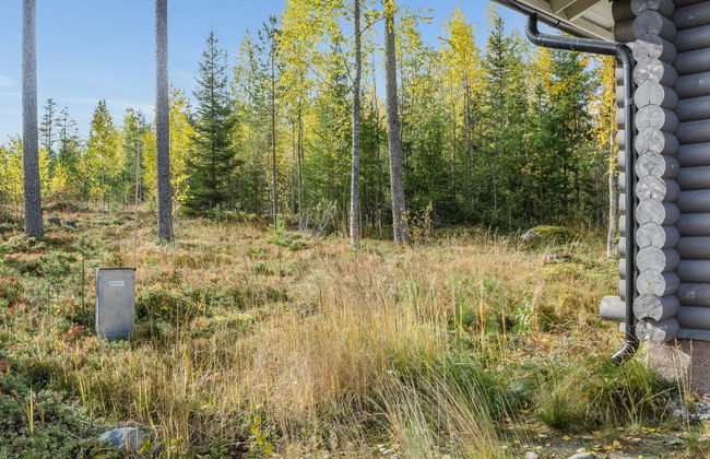 Markenniemi - Foto 21