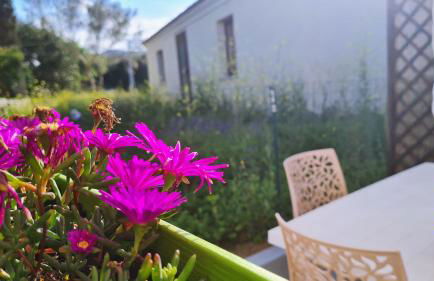 Lo Stazzo della Dottoressa - Foto 30