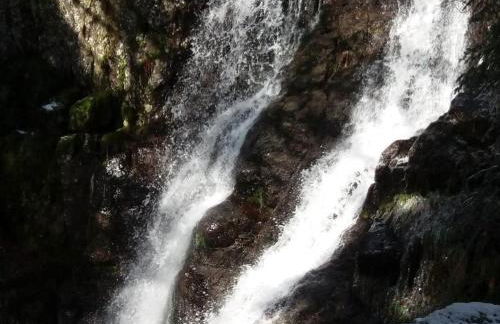 Gîte paisible au pied du Bassin de Champagney, animaux acceptés - FR-1-583-372 - Foto 22