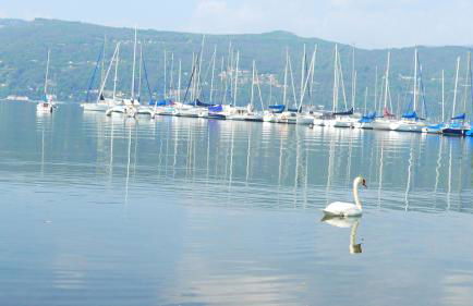 The Gulf Villa - Lago Maggiore - Foto 60