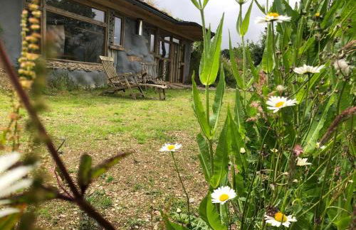 Rabbits ,1 bedroom, Dartmoor Hillside, Eco Hobbit style, Home - Foto 56